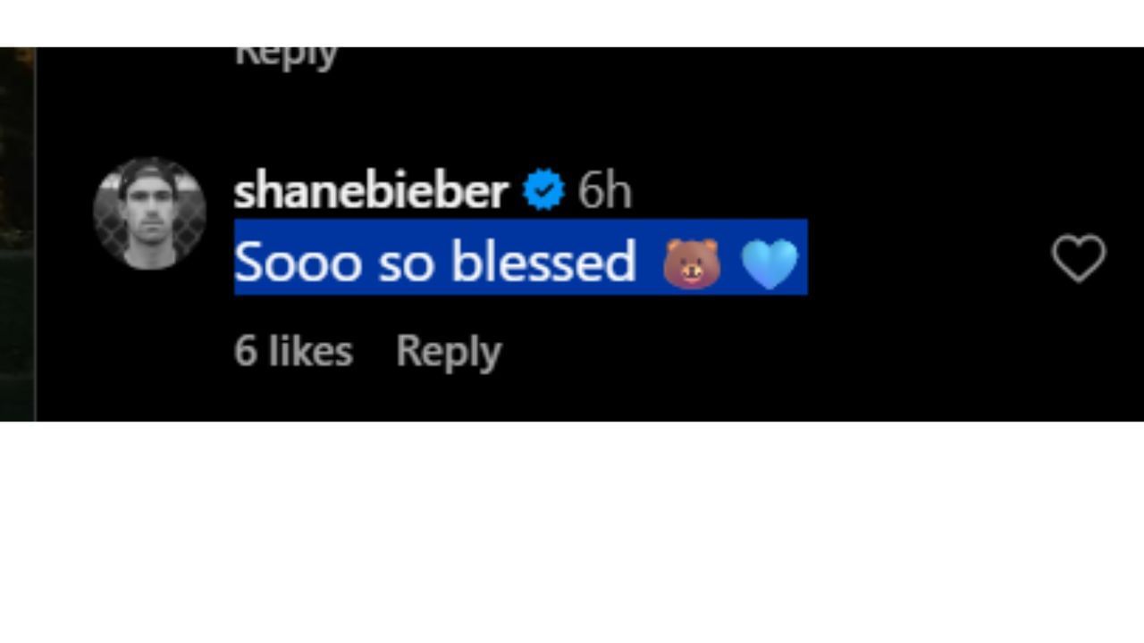 Comments section