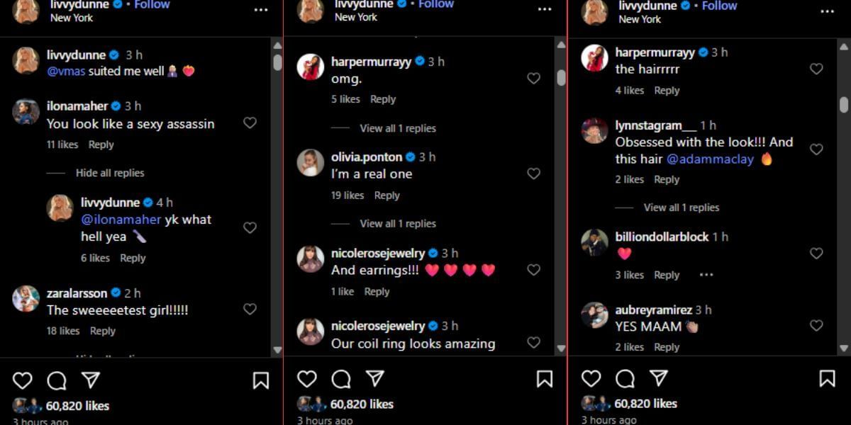 Screenshot of the Instagram post&#039;s comment section.