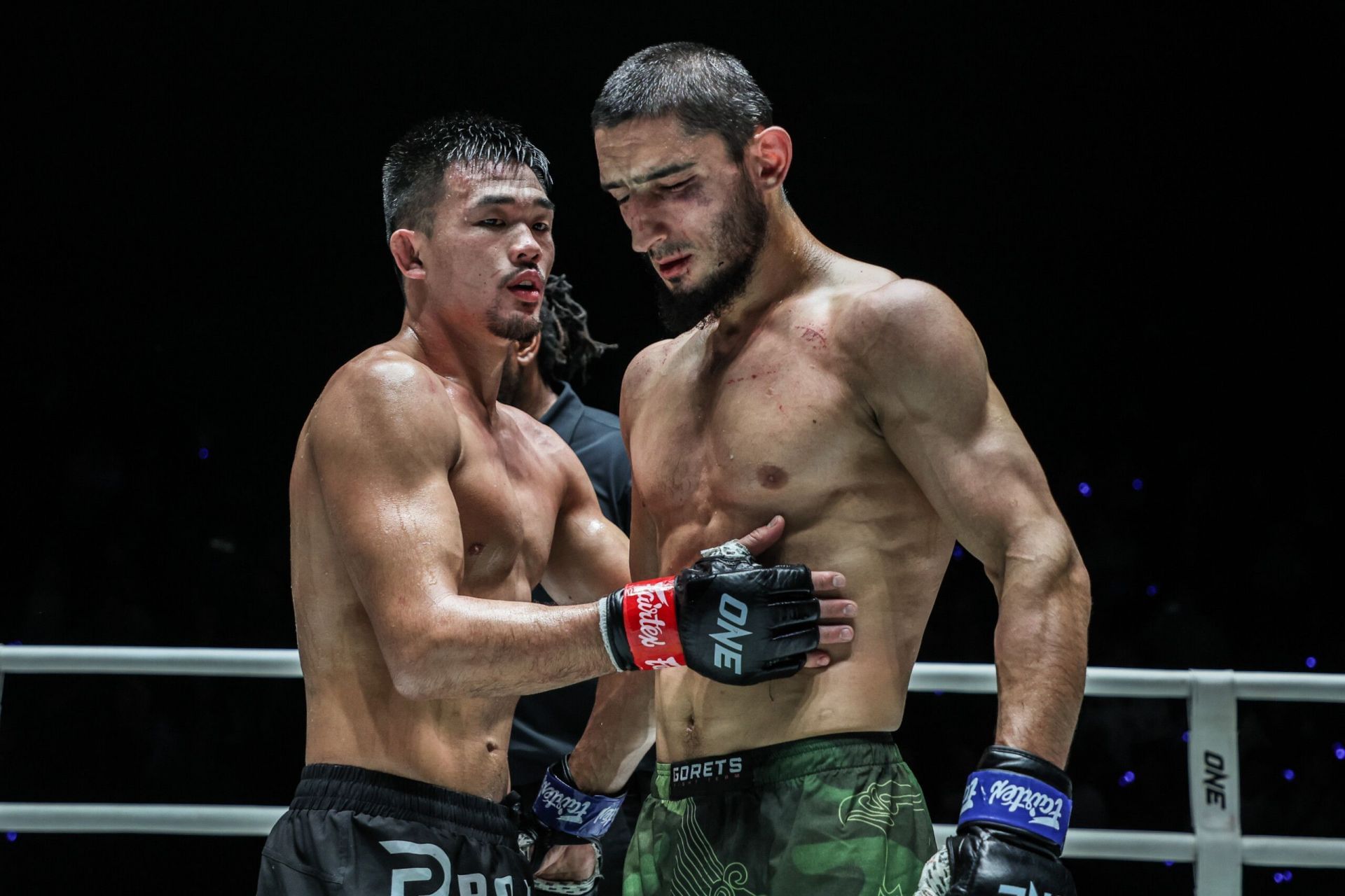Christian Lee (L) vs Alibeg Rasulov (R) II | Image by ONE Championship