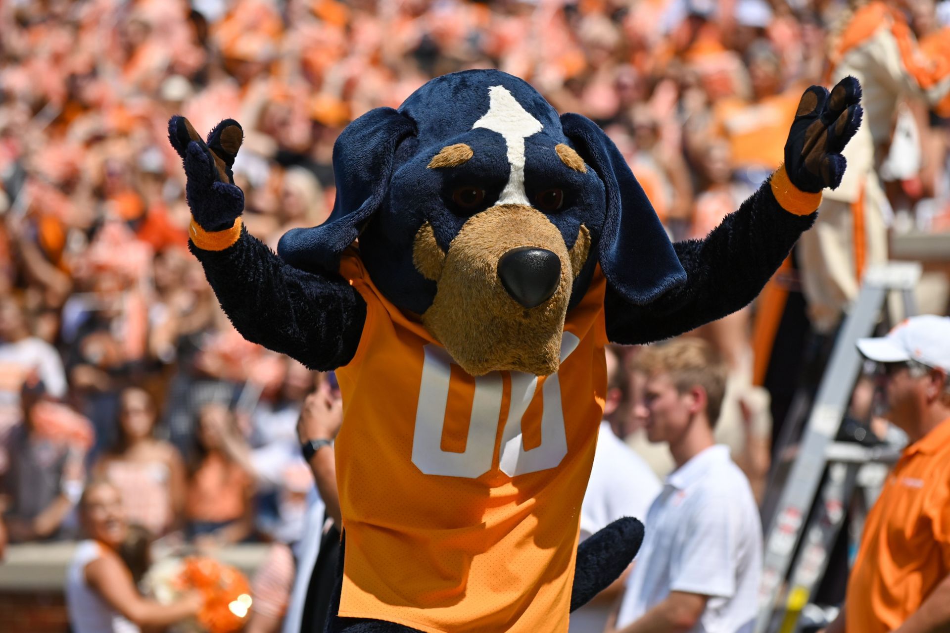 Tennessee Mascots Smokey