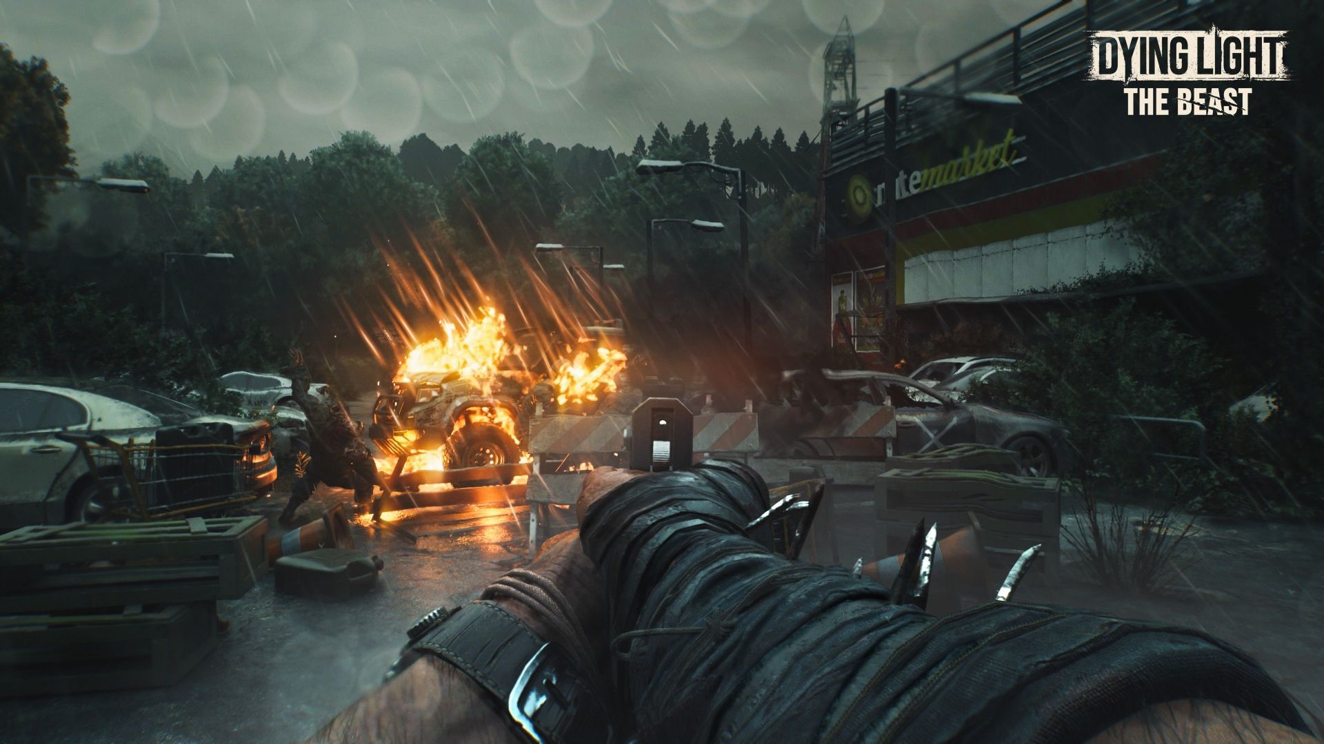heal in dying light: the beast