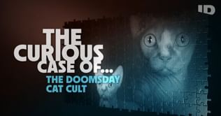 The Curious Case of… - The Doomsday Cat Cult: Sheryl Ruthven - A complete timeline of events