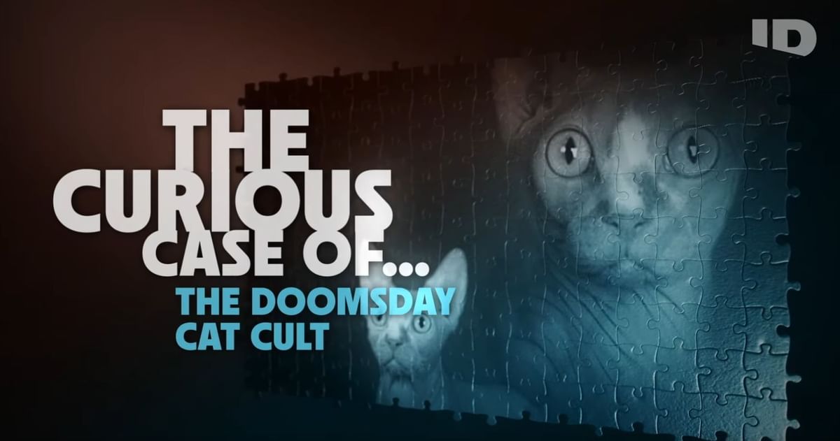 The Curious Case of… - The Doomsday Cat Cult: Sheryl Ruthven - A complete timeline of events