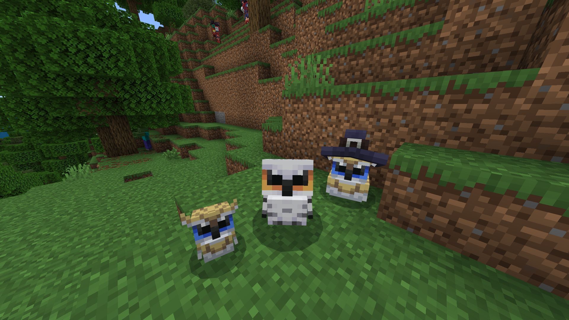 The Owls add-on introduces nine different breeds of owls (Image via Sportskeeda Gaming || Mojang Studios/Noxcrew)
