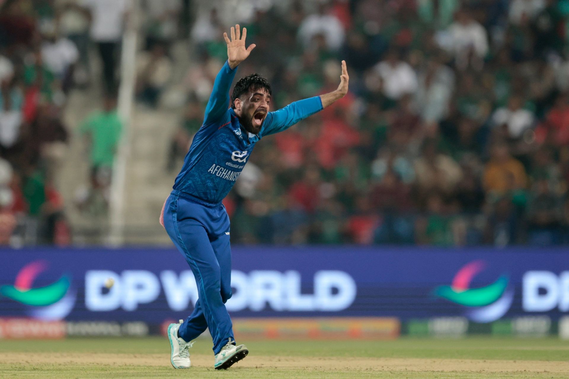 Rashid Khan. (Image Credits: ACB X)