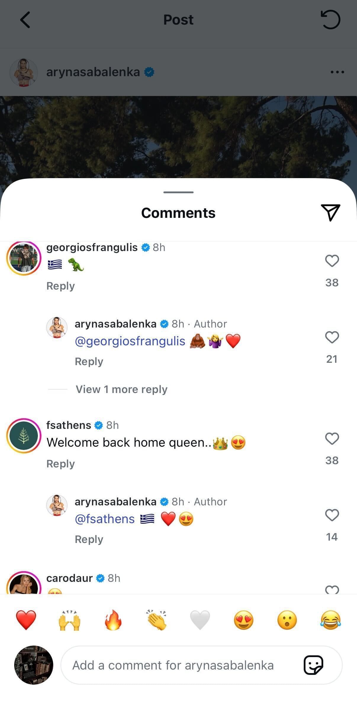 Comments section