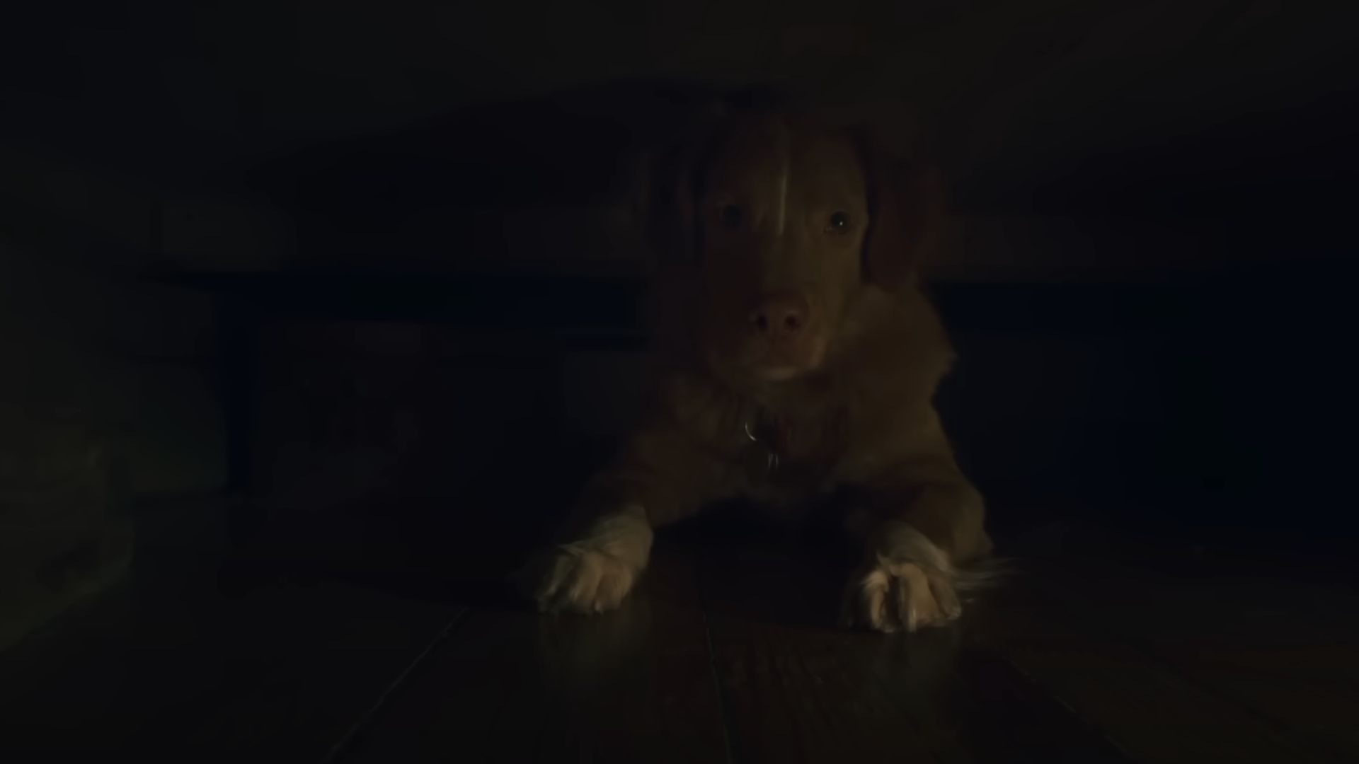A still from the film&#039;s trailer (Image via YouTube/IFC Films)