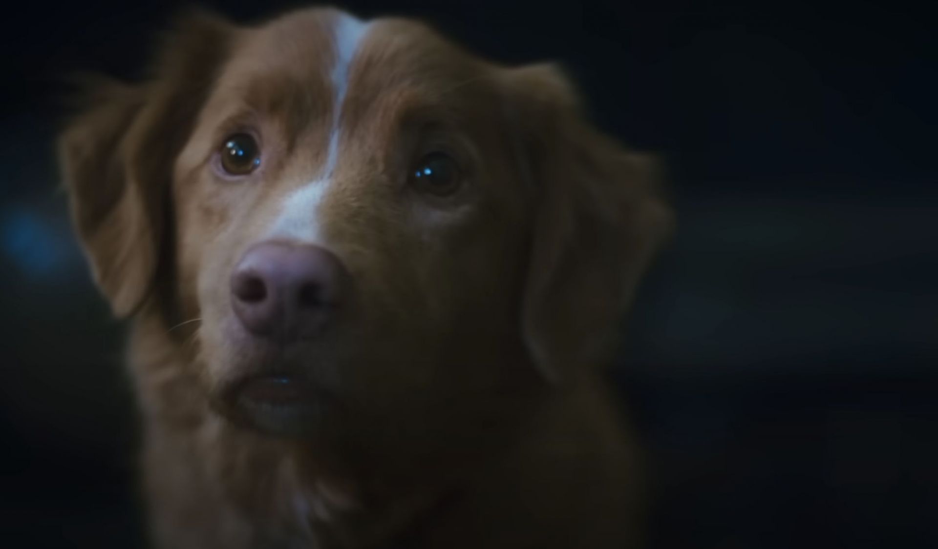 A still from the film&#039;s trailer (Image via YouTube/IFC Films)