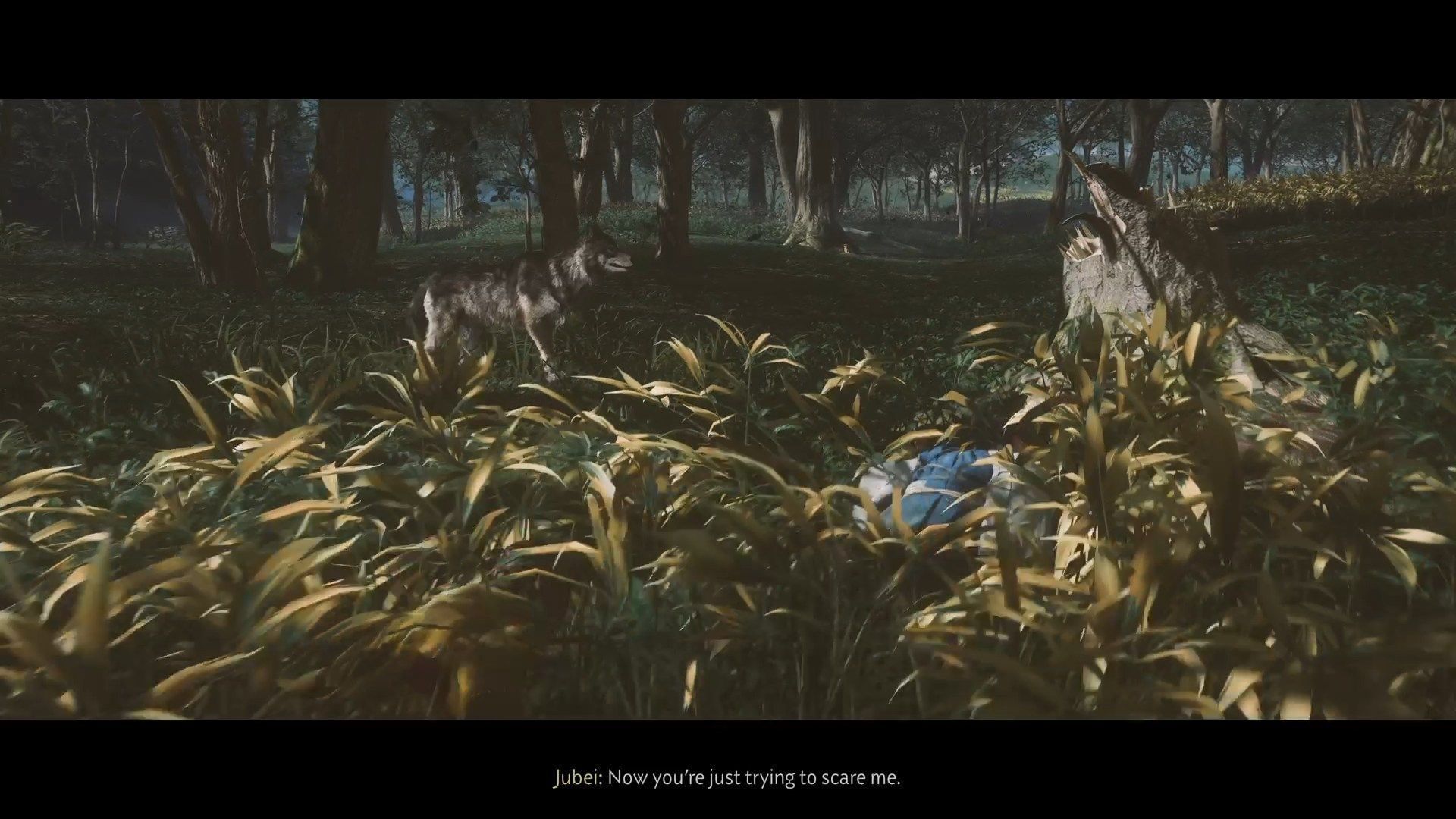 Go near the wolf while hiding in the grass (Image via Sucker Punch)