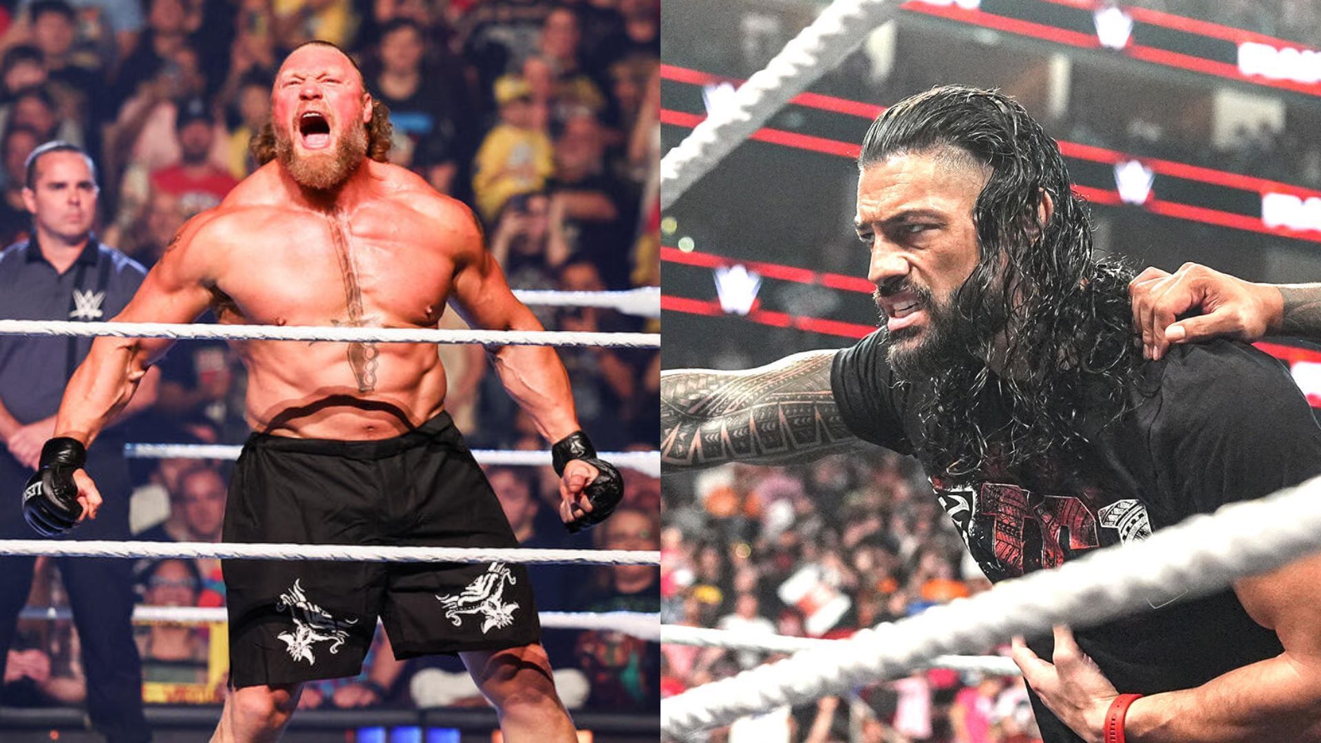 Brock Lesnar and Roman Reigns! [Images from WWE.com]
