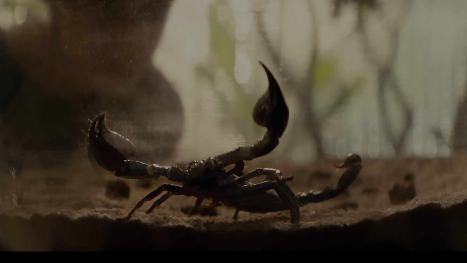 A still from the series (Image via YouTube/FX Networks)