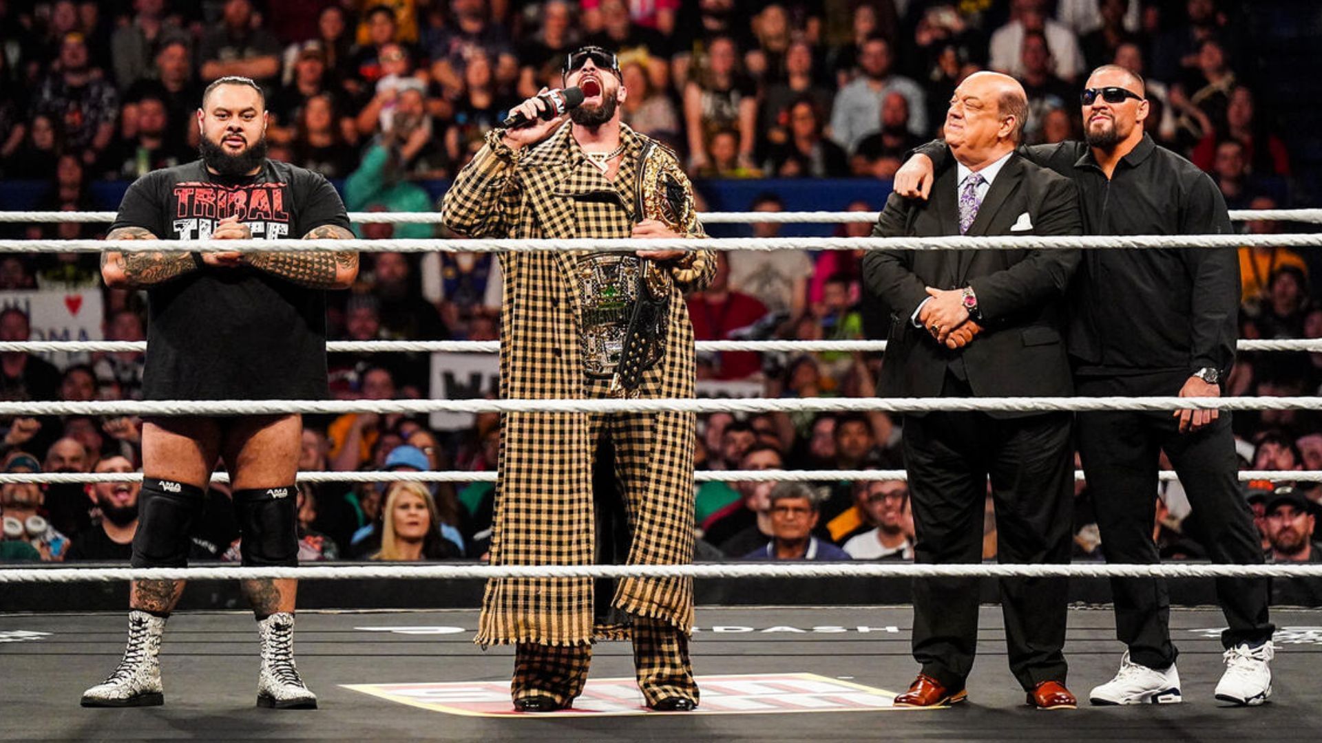 The Vision on WWE RAW! [Image credit: WWE.com]