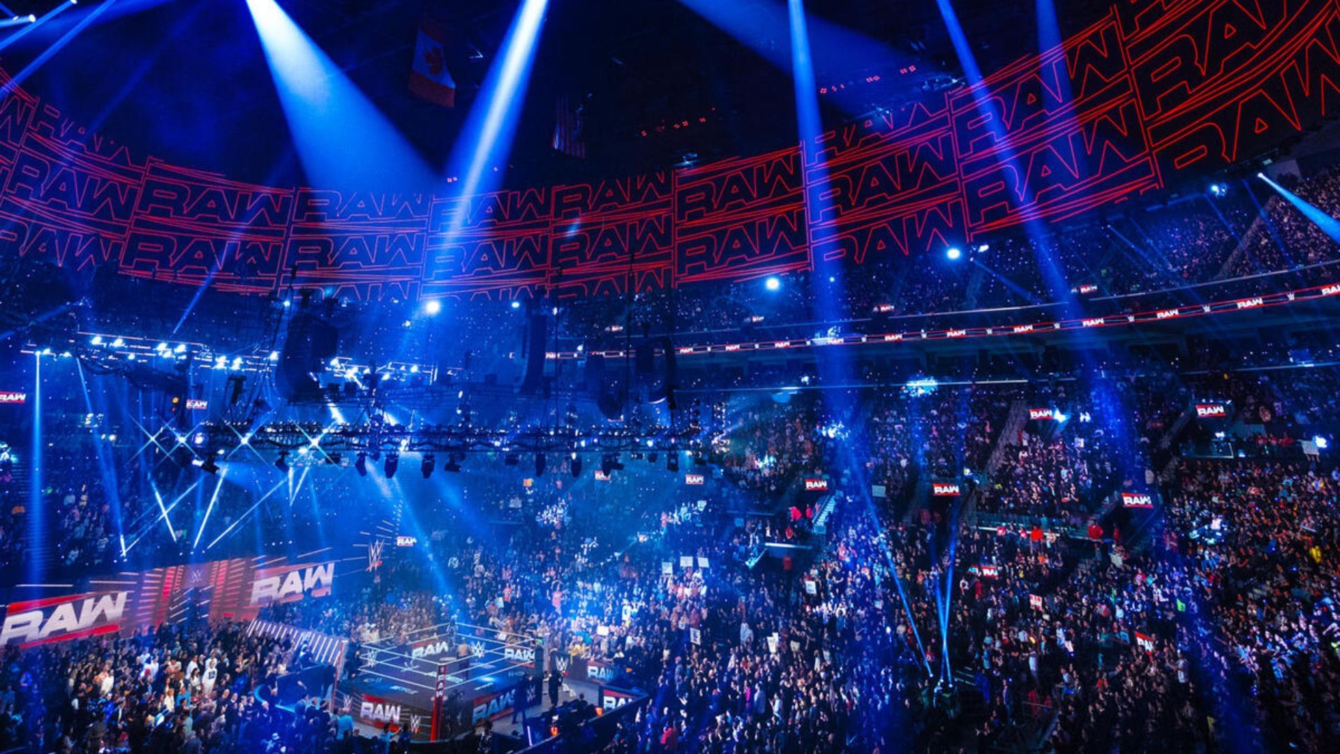 The WWE fans haven