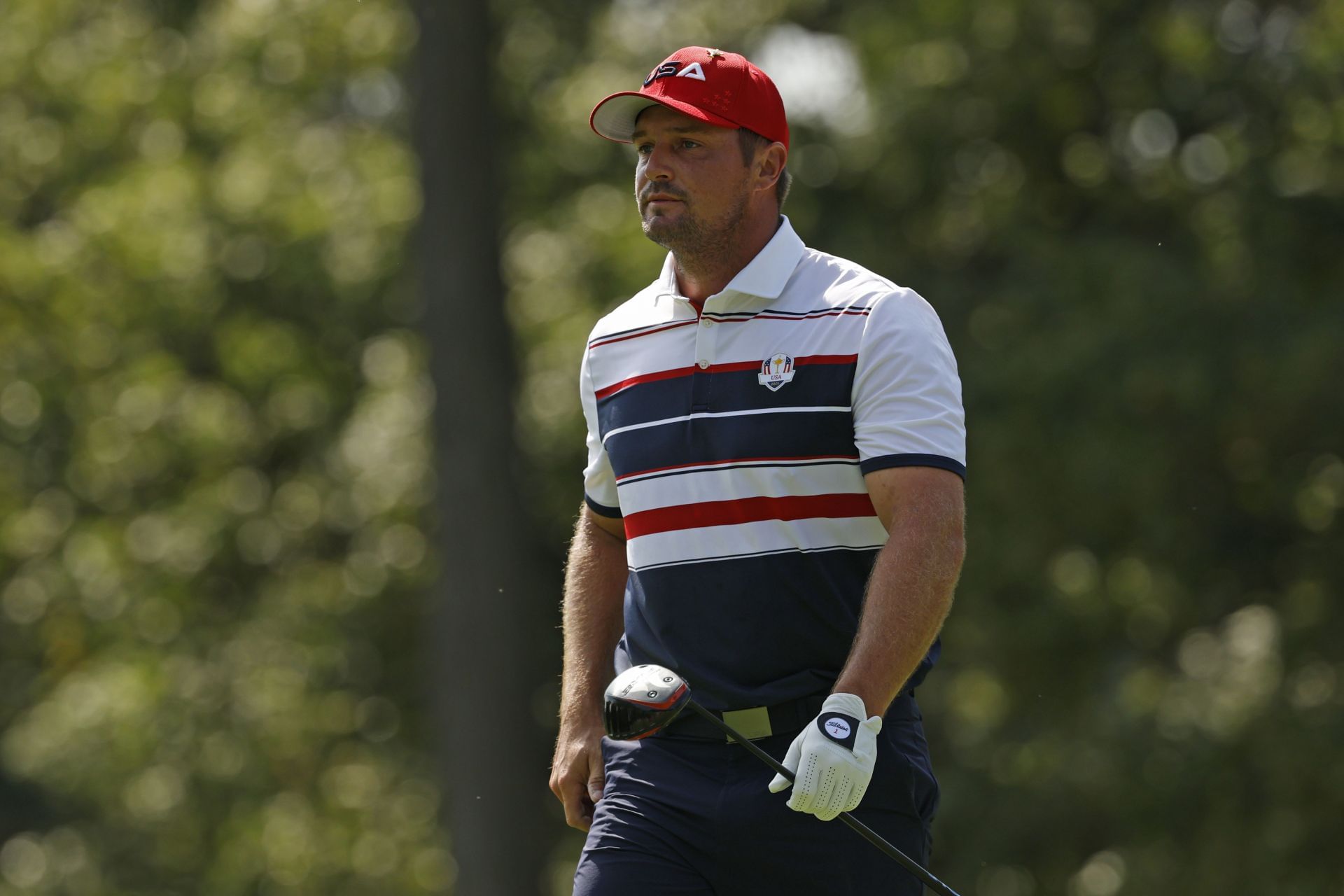 Ryder Cup 2025 - Singles Matches - Source: Getty