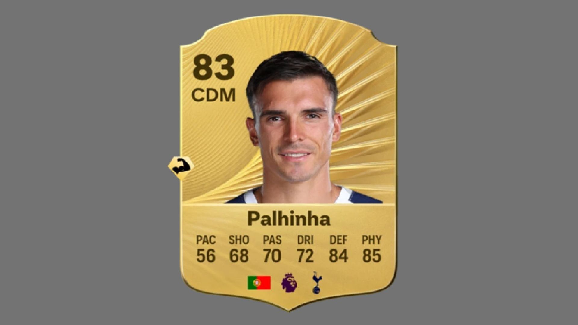 Palhinha is a reliable backup option in Tottenham Hotspur (Image via EA Sports)