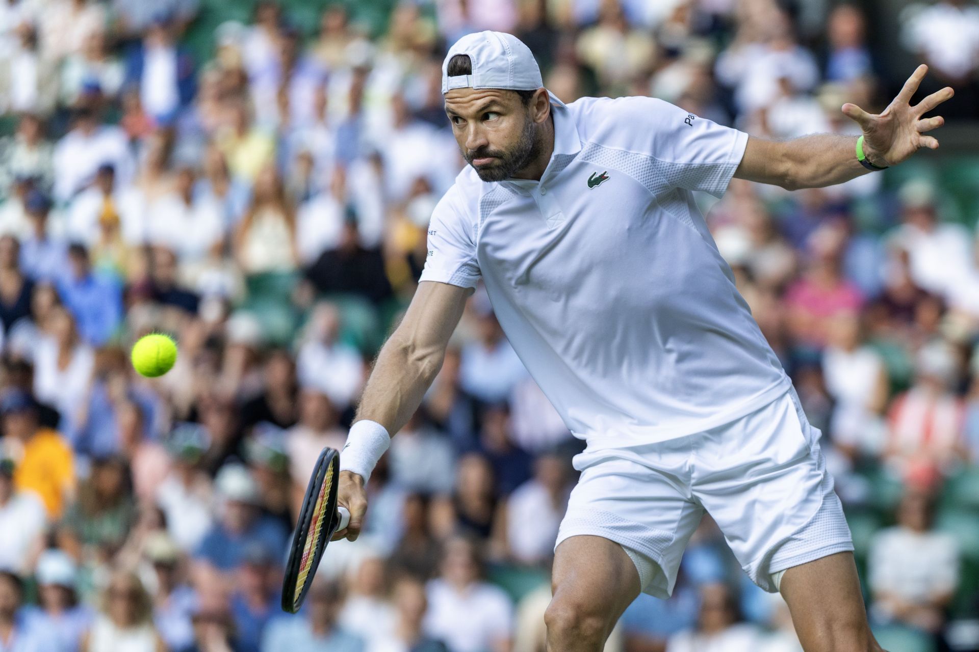 Dimitrov at Wimbledon (Getty)