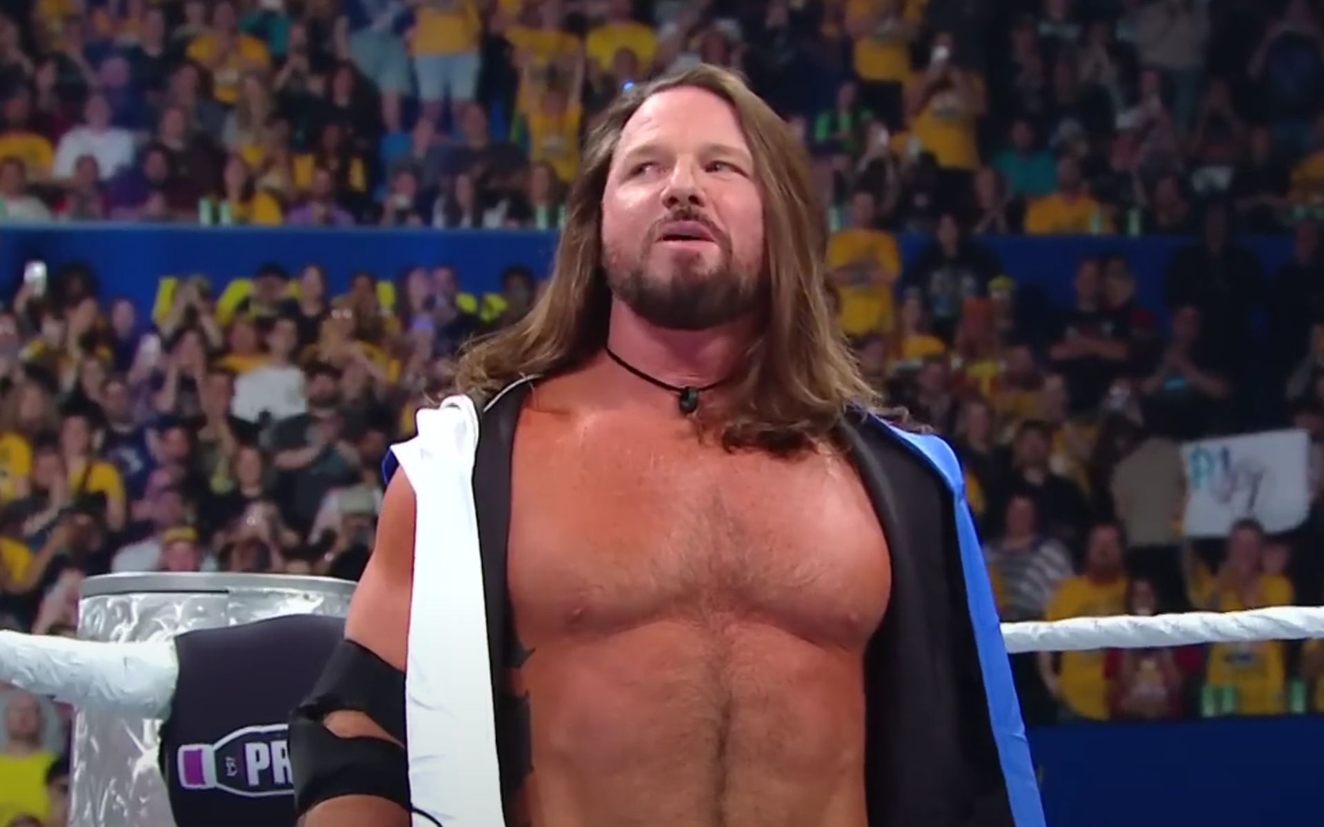 (Picture Courtesy: WWE on YouTube)