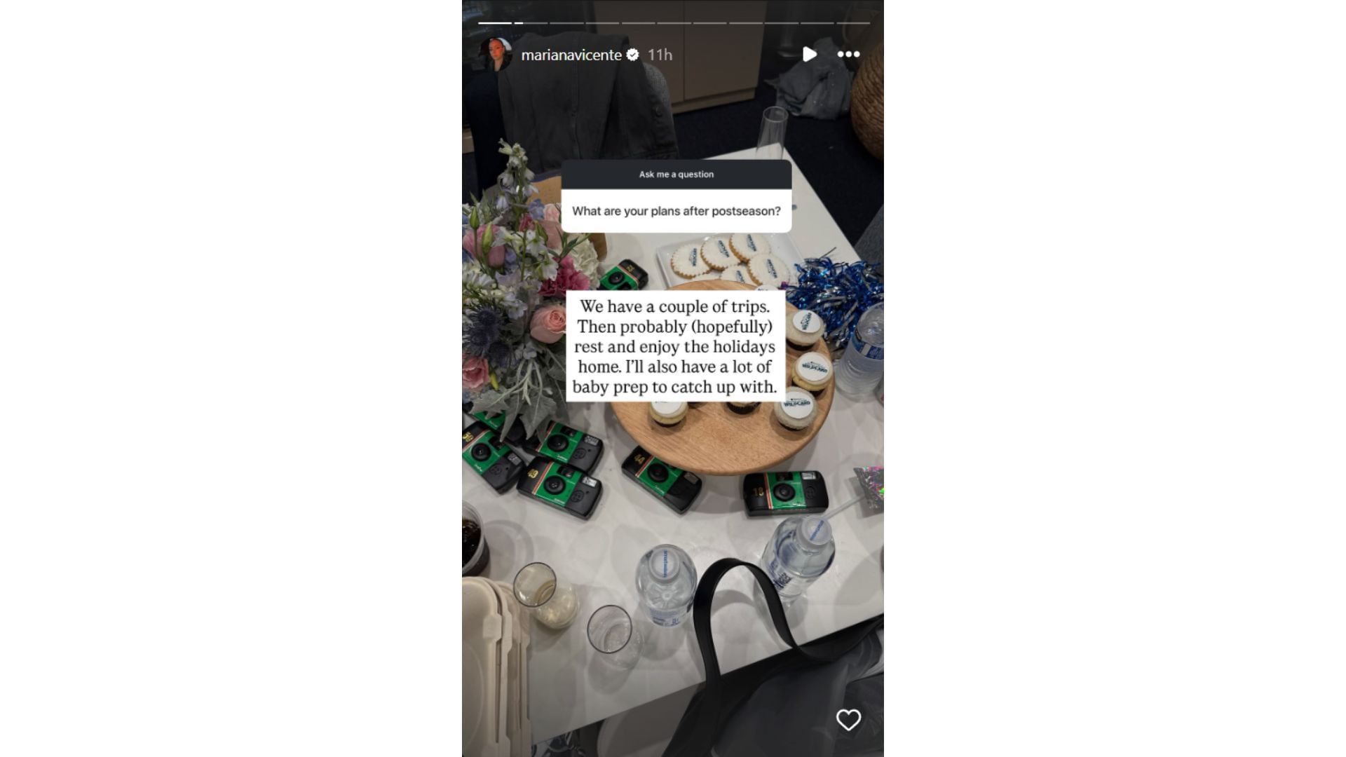 Mariana Vicente&#039;s Instagram Story featuring her AMA (Source: Instagram @marianavicente)
