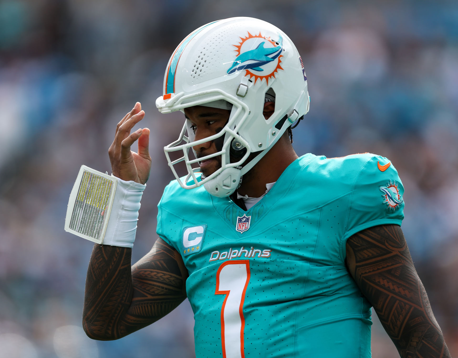 NFL: Miami Dolphins at Carolina Panthers - Source: Imagn
