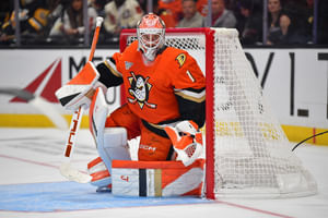 [WATCH] Goalie fight teased during Ducks vs. Hurricanes scrum, as Lukas Dostal skates down ice to challenge Frederik Andersen