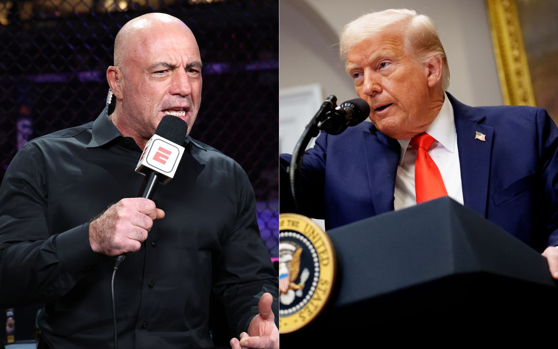 Joe Rogan (left) was one of Donald Trumps (right) celebrity endorsers in the 2024 U.S. presidential elections. [Images courtesy: Getty Images]