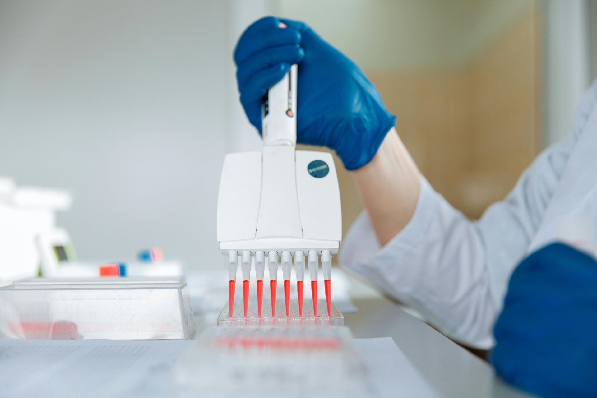 Mitochondrial DNA comparisons to a family member supported the identification (Image via Pexels)