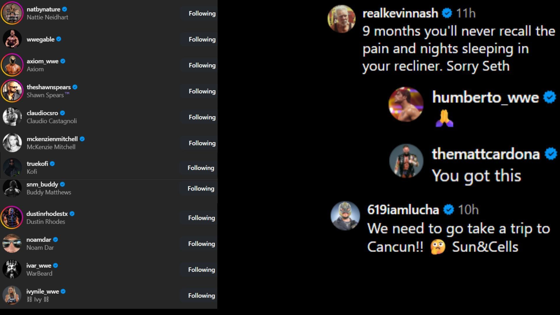 Screenshots of stars&#039; likes and comments [Image credit: Seth Rollins&#039; Instagram handle]
