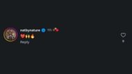 Nattie's comment on Statlander's Instagram post (Image via Statlander's Instagram handle)