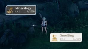 Life Skills in Blue Protocol Star Resonance - Which ones to prioritize?