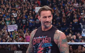 CM Punk should feud with 33-year-old female star's brothers, says ex-WWE writer Vince Russo (Exclusive)