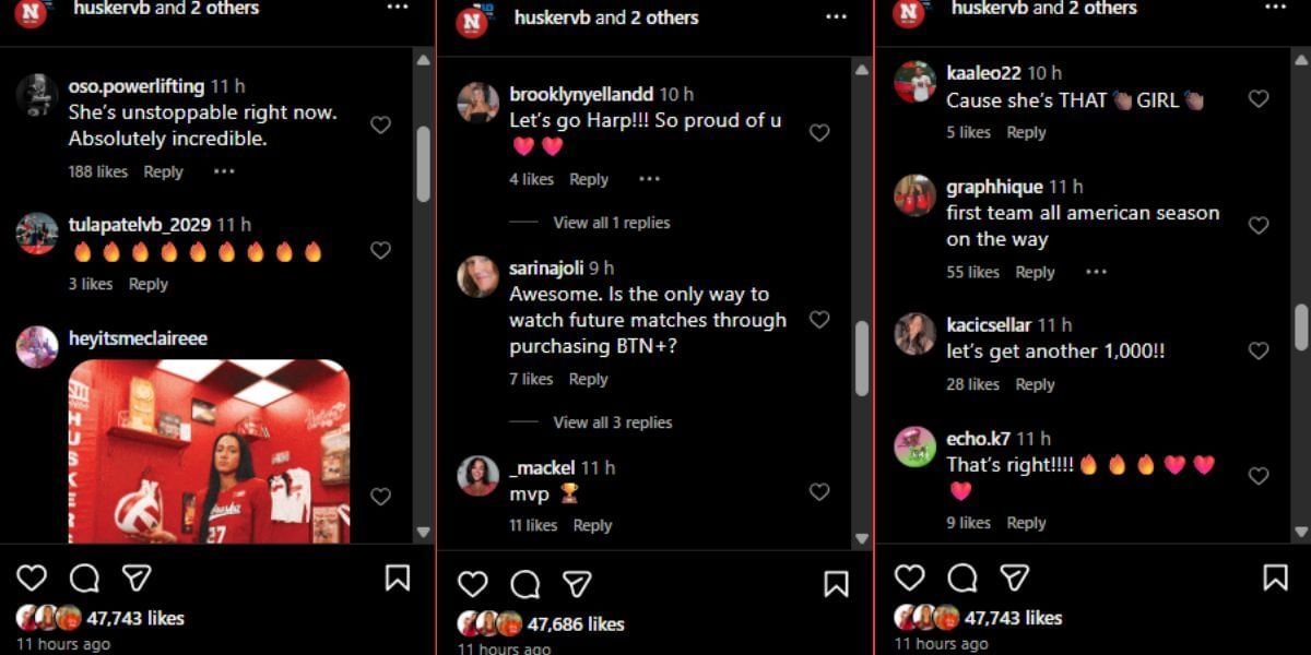 Screenshot of the Instagram post&#039;s comment section.