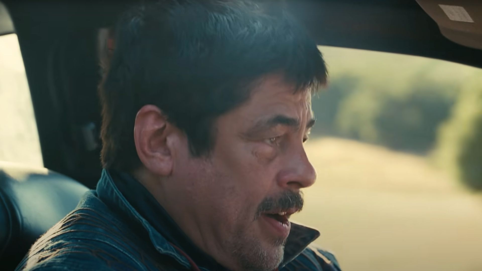 Del Toro as Willa&#039;s Karate teacher and Bob&#039;s friend (Image via YouTube/Warner Bros.)