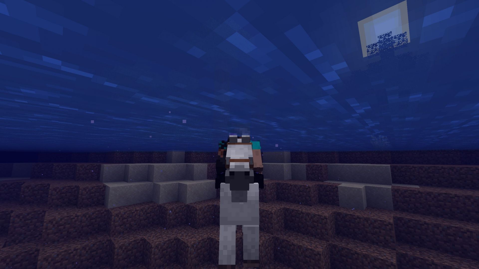 Horses currently sink when ridden on water (Image via Sportskeeda Gaming || Mojang Studios)