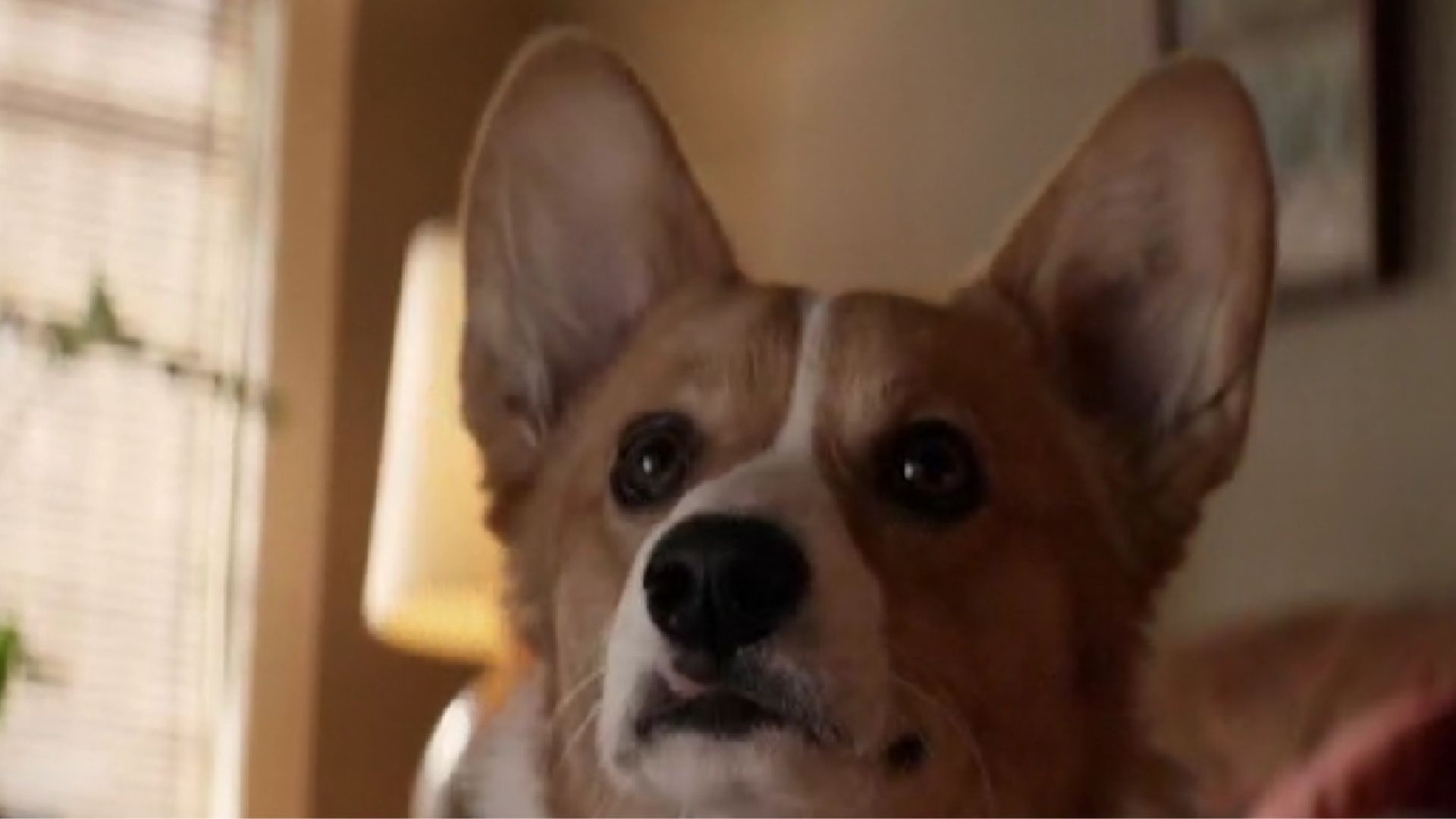 A still from the movie (Image via Apple TV)