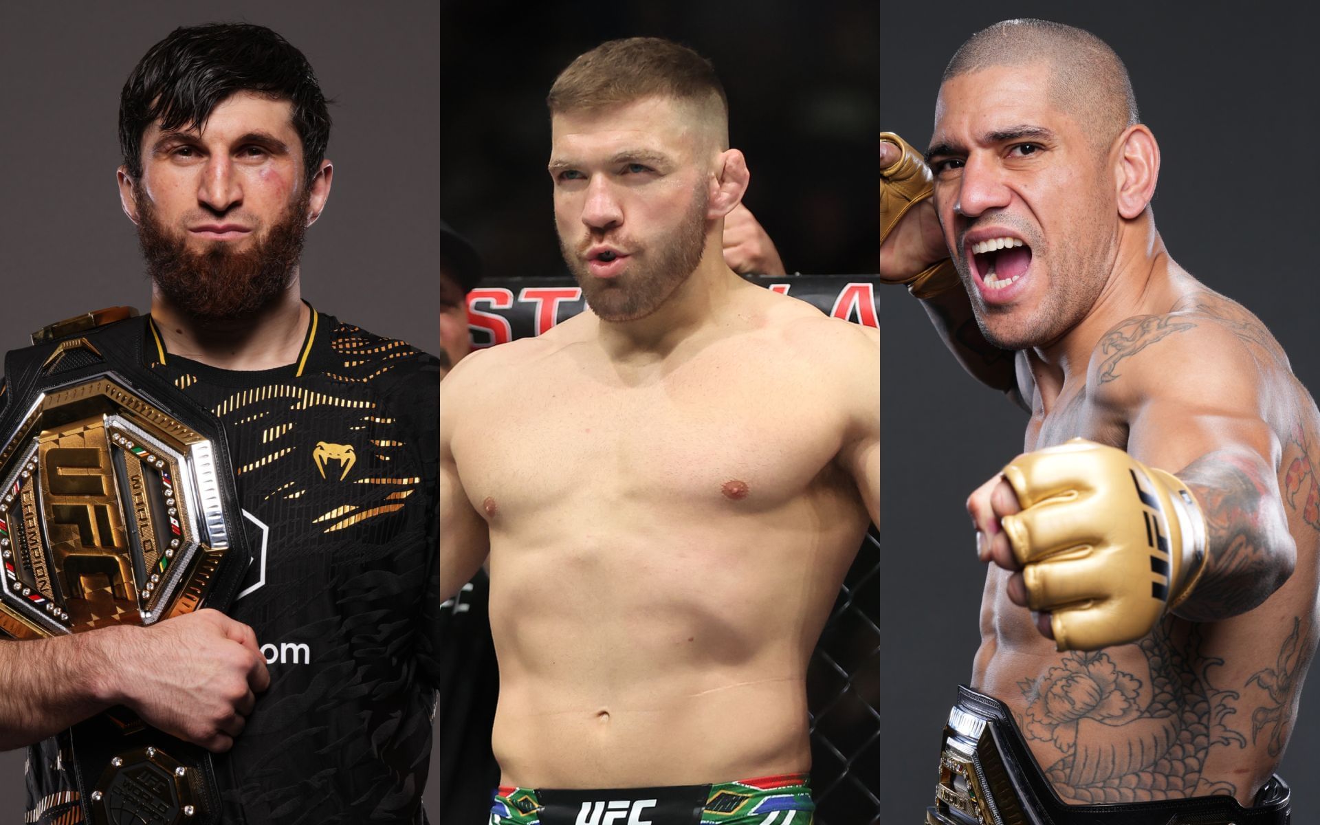 Dricus du Plessis (middle) previews Magomed Ankalaev (left) vs. Alex Pereira (right) fight. [Images courtesy: Getty Images]