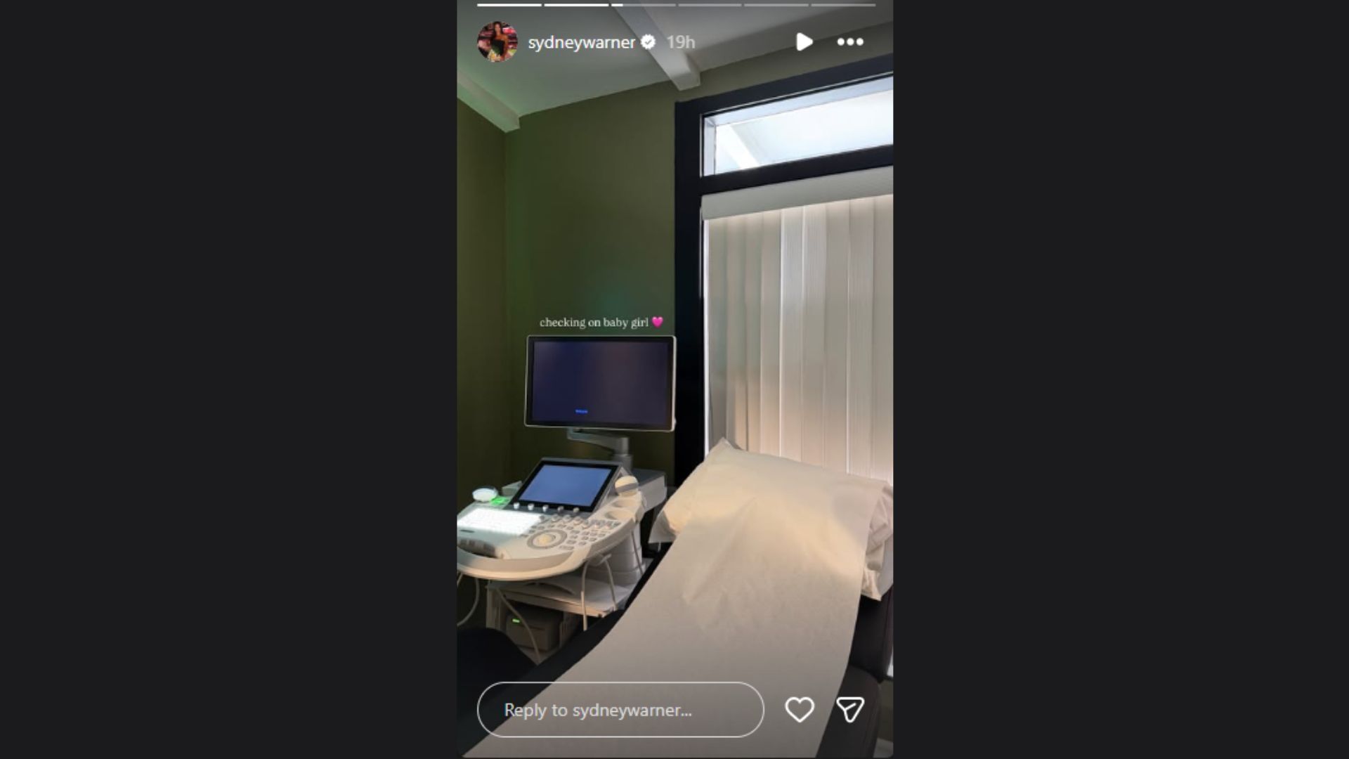 Sydney Warner shared an update on her pregnancy. (Photo via Sydney Warner&#039;s Instagram Story)