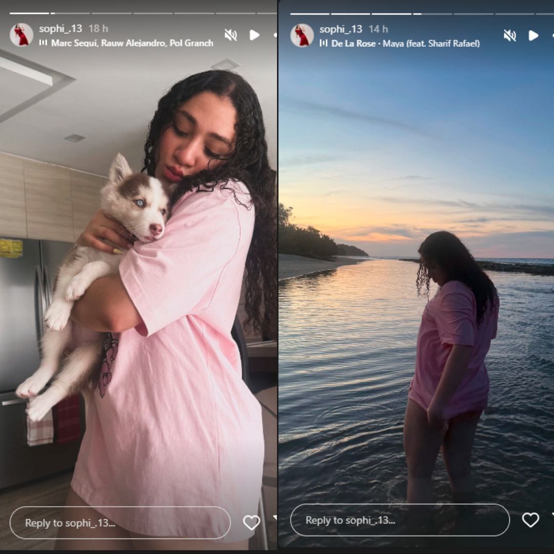Ronald Acuna Jr.&rsquo;s sister Sofia shared stories.(. (sophi_.13/Instagram)
