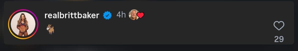 Screengrab of Britt Baker&#039;s comment from Instagram