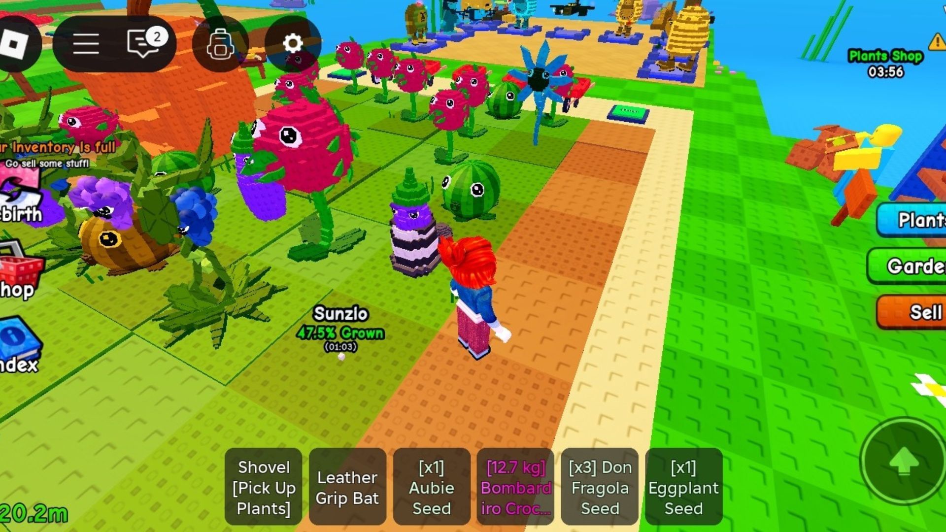 Grown Aubie and growing Sunzio (Image via Roblox)