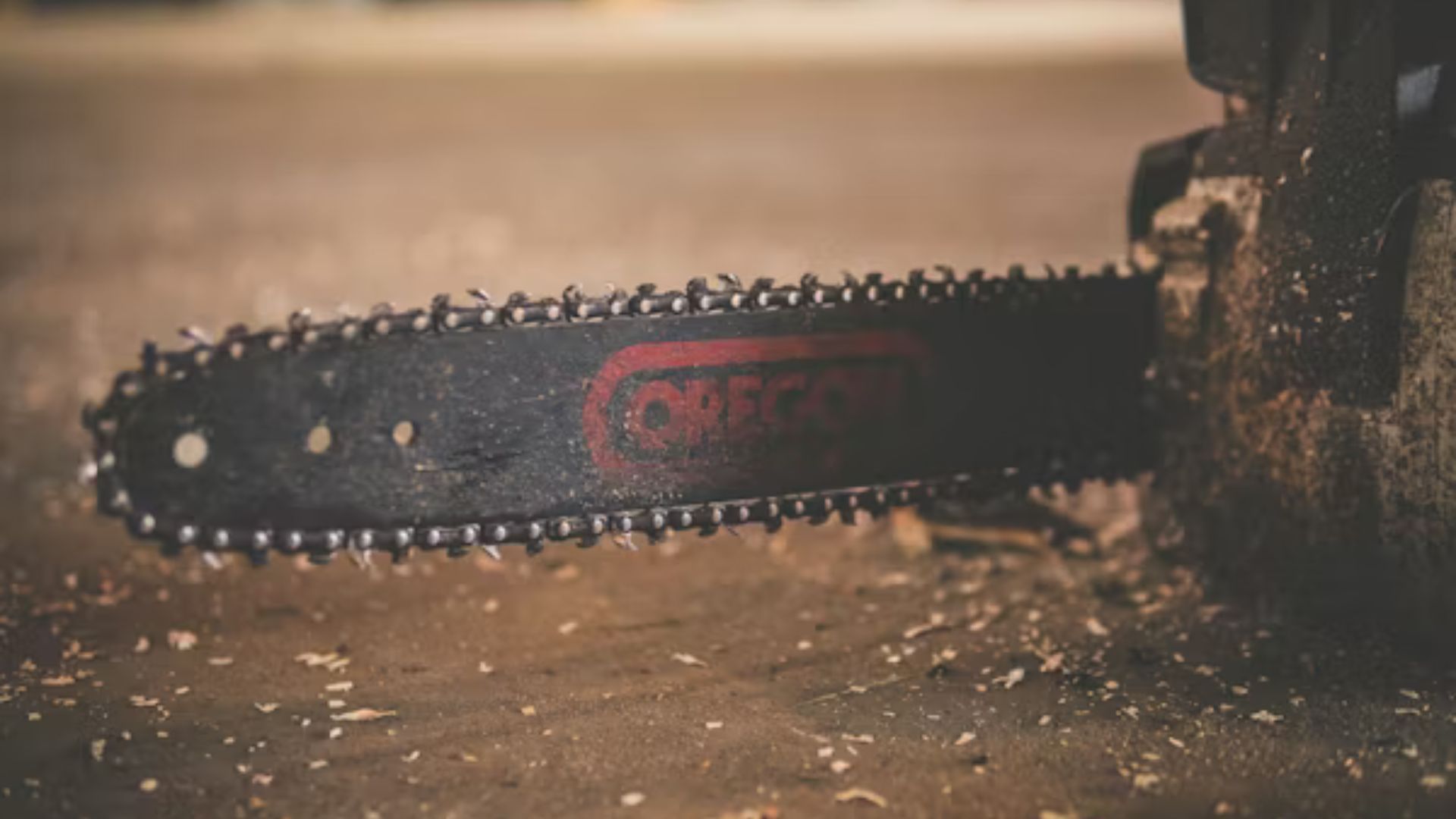 Stevens bought acid, a chainsaw, and tools for killing Tricia (Image via Unsplash/ @ Michael Fenton)