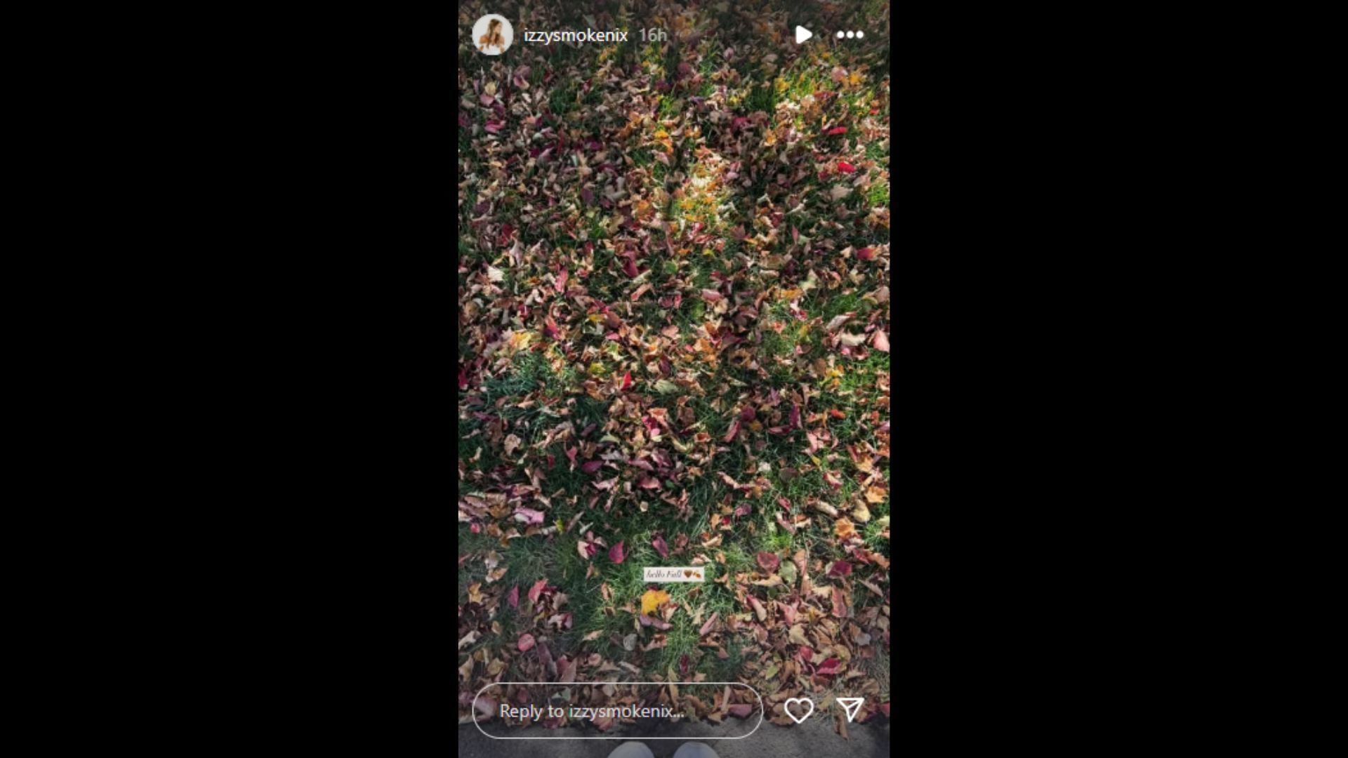  Nix&#039;s wife, Izzy, shared a look at the weather. (Photo via Izzy Nix&#039;s Instagram Story)