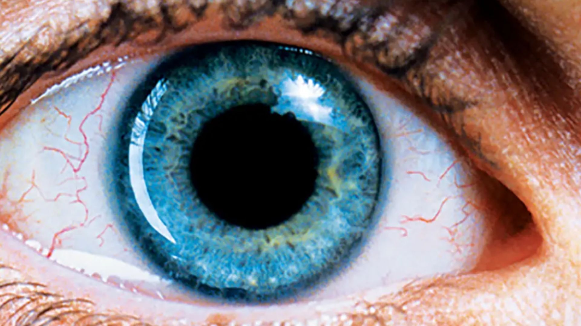 A still from the movie (Image via Apple TV)