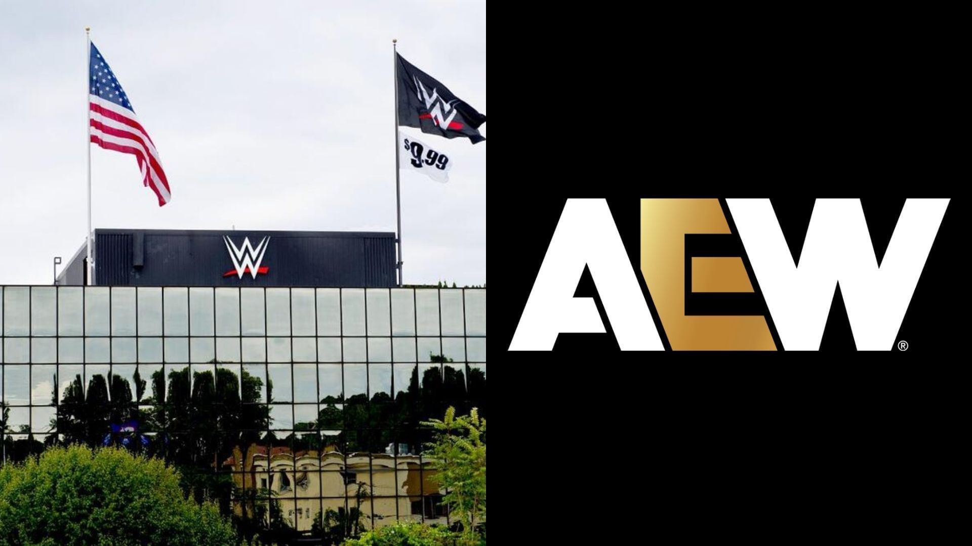 WWE and AEW are top players in the wrestling industry [photo: wwe.com and allelitewrestling.com