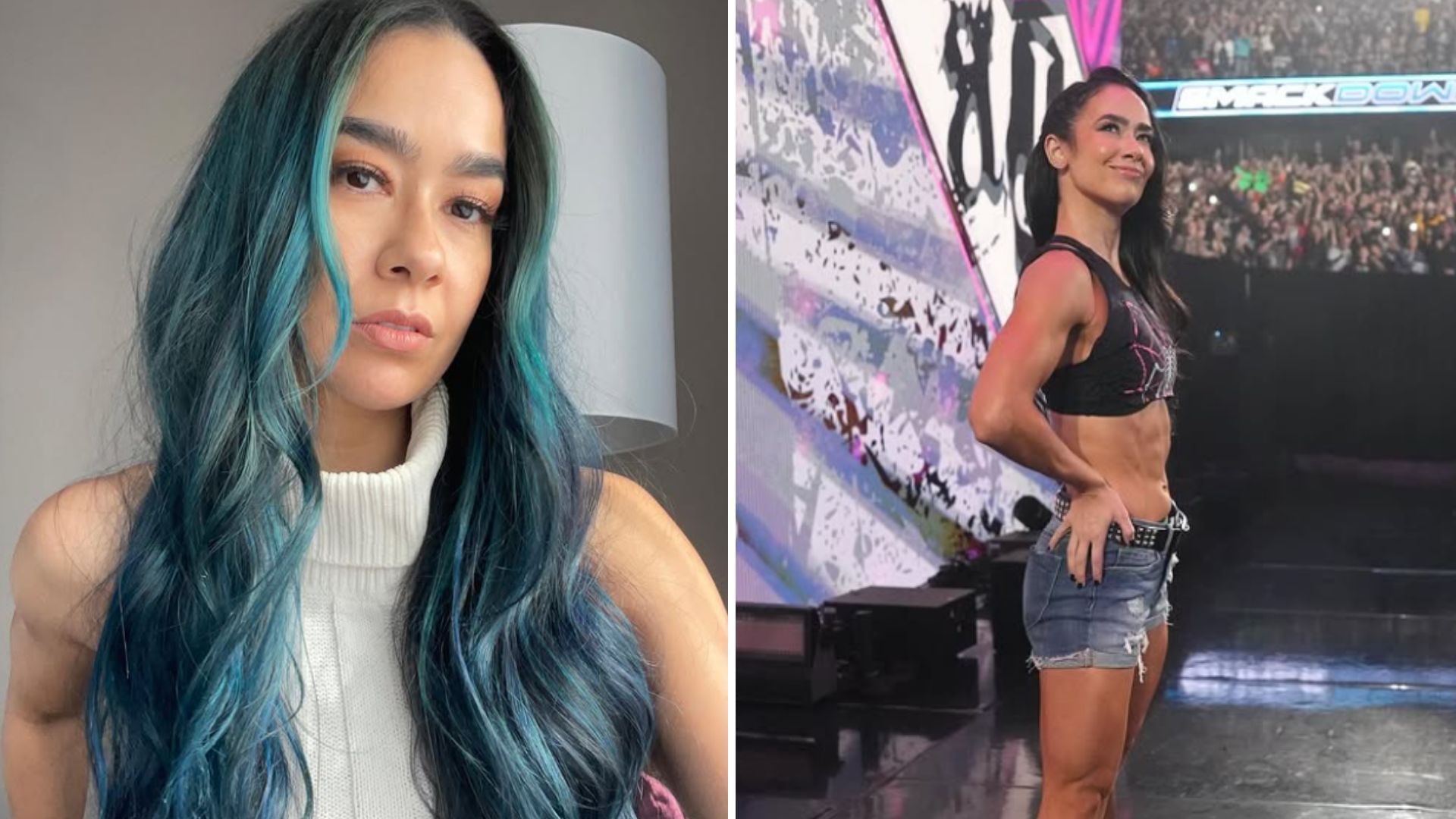 AJ Lee is a former WWE Divas Champion [Image credits: star