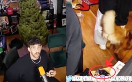"The dog collar model is the ET-300": Fans believe they've spotted an alleged dog collar remote on HasanAbi's desk in viral video