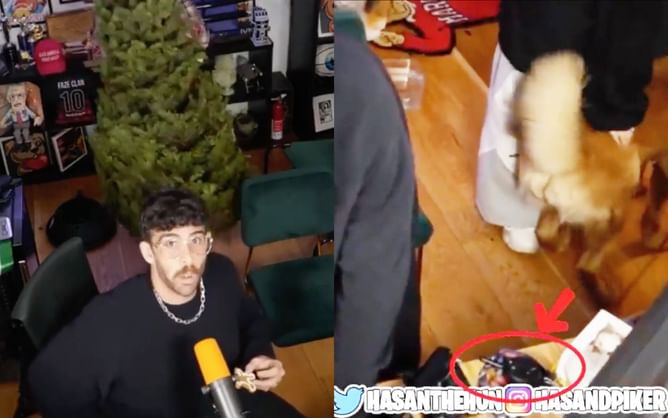 "The dog collar model is the ET-300": Fans believe they've spotted an alleged dog collar remote on HasanAbi's desk in viral video