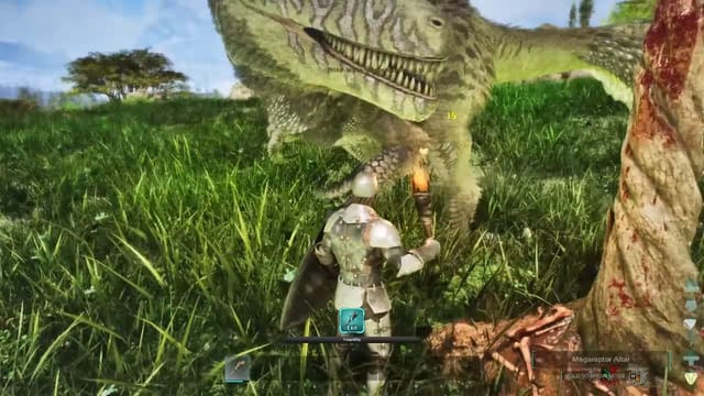 How to tame a Megaraptor in ARK Survival Ascended
