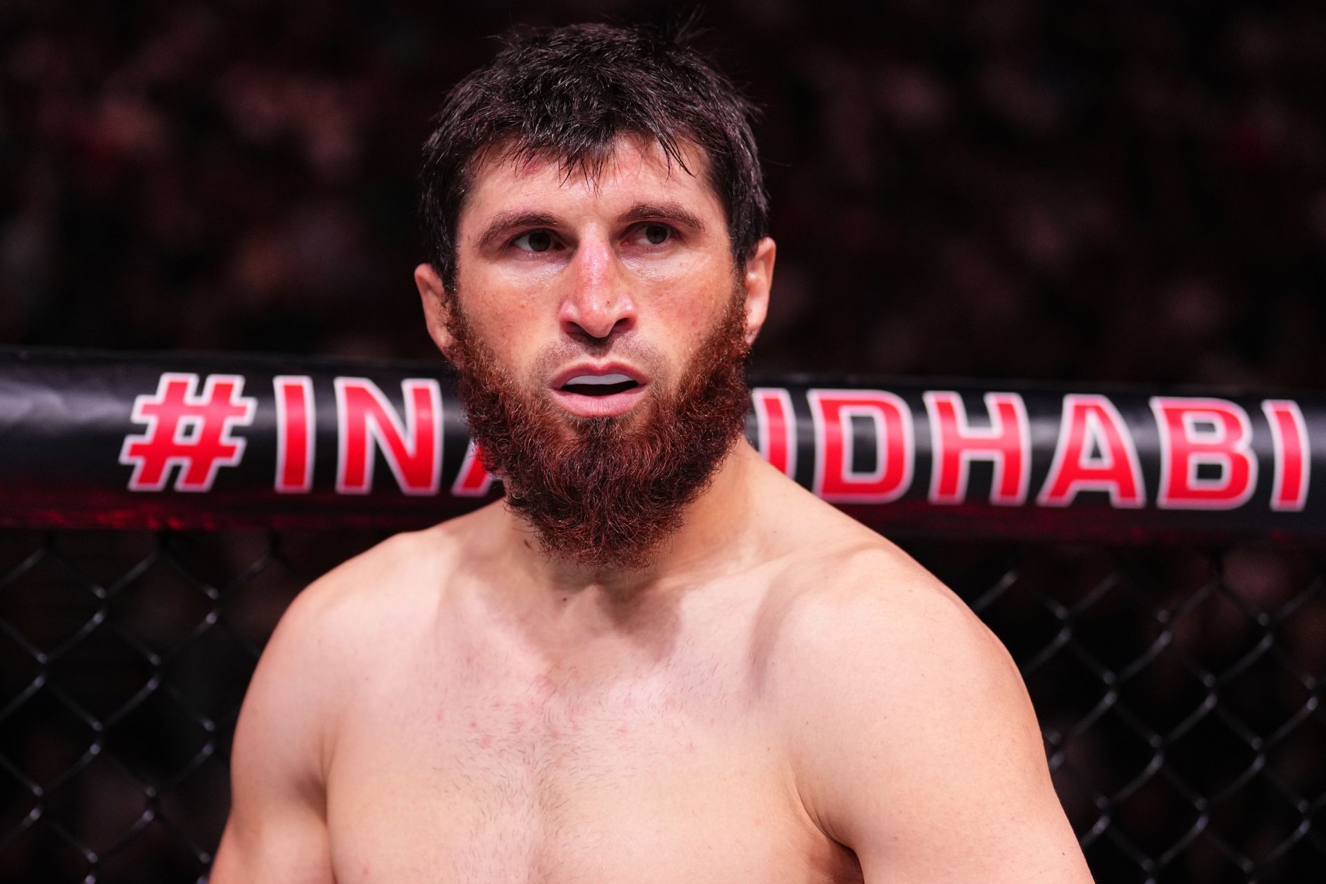 UFC 308: Ankalaev v Rakic - Source: Getty