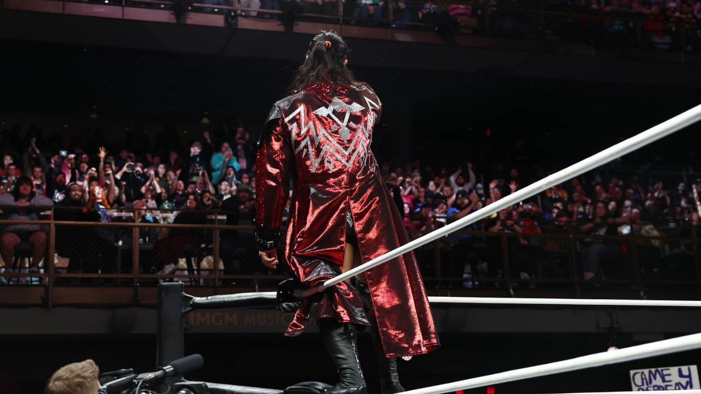 The star joined AEW in 2022 [Image via star