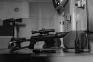 A Bushmaster .223 rifle was recovered from the car and later matched by ballistics to multiple shootings. (Image via Pexels)